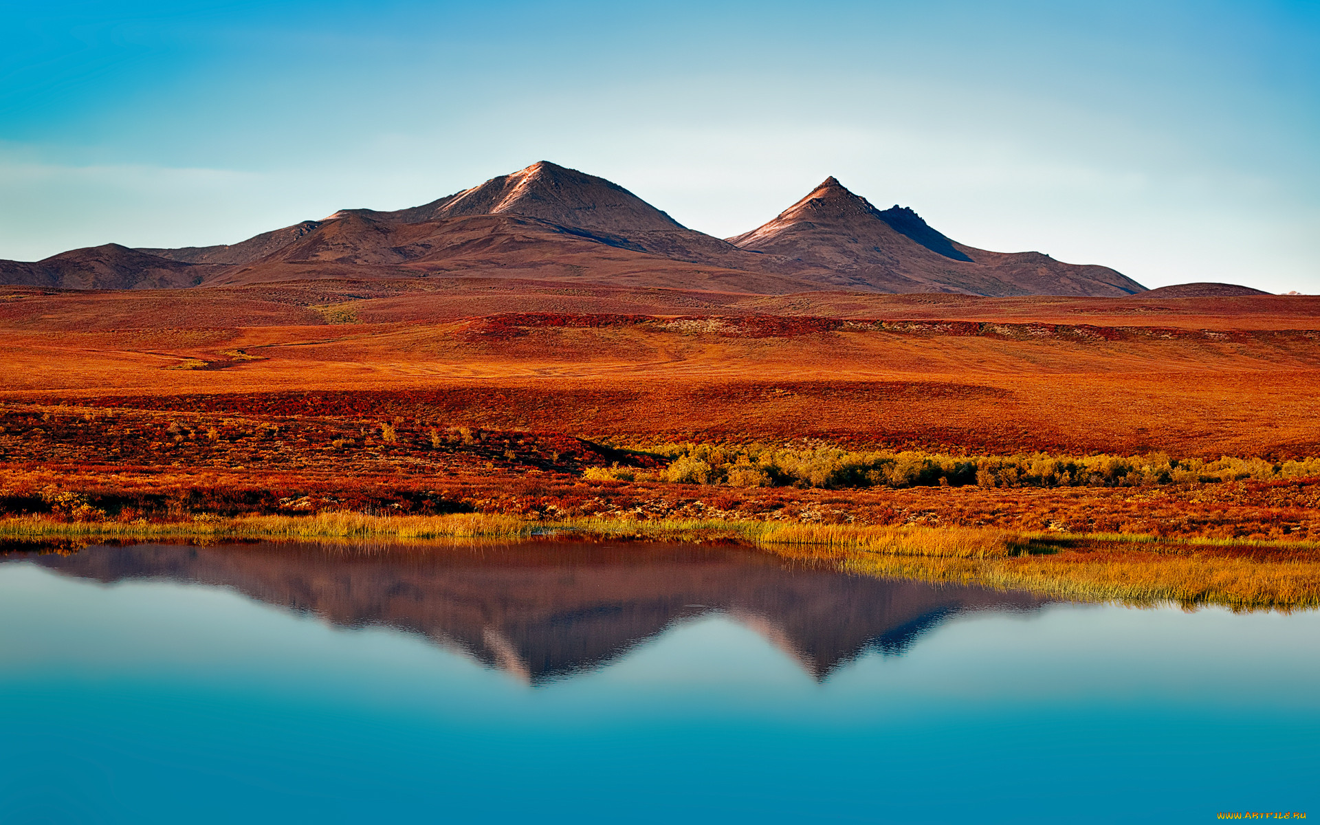 reflection, , , , , , , 